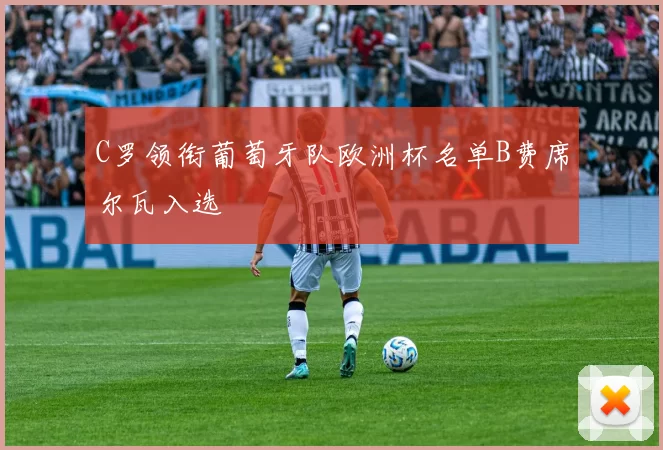 C罗领衔葡萄牙队欧洲杯名单B费席尔瓦入选
