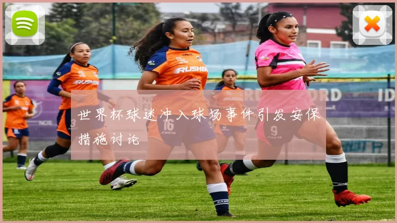 世界杯球迷冲入球场事件引发安保措施讨论
