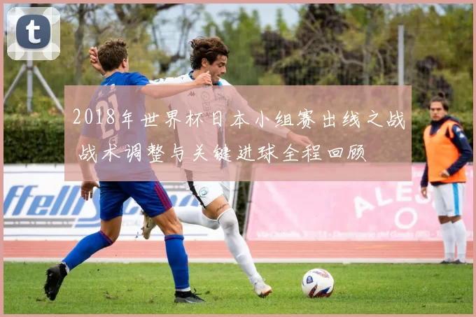 2018年世界杯日本小组赛出线之战 战术调整与关键进球全程回顾