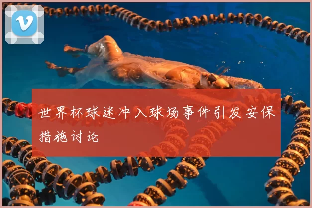 世界杯球迷冲入球场事件引发安保措施讨论
