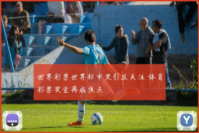 世界彩票世界杯中奖引发关注 体育彩票奖金再成焦点